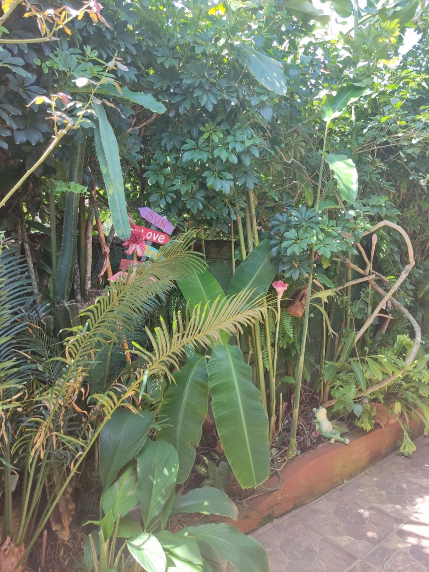 Recanto Toca das Plantas de Ilhabela I Quarto foto