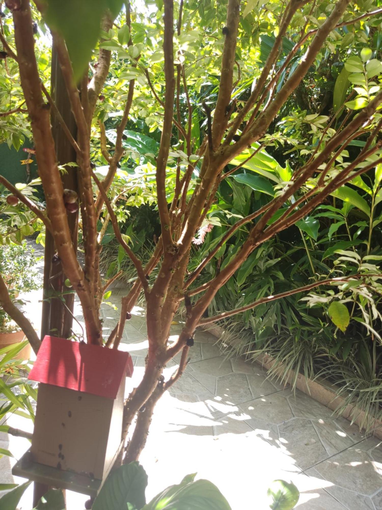 Recanto Toca das Plantas de Ilhabela I Quarto foto